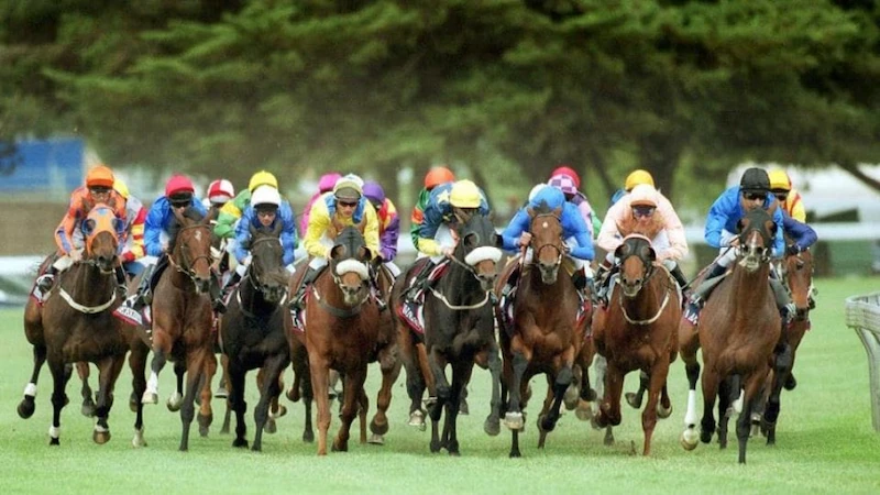 What is horse racing betting?